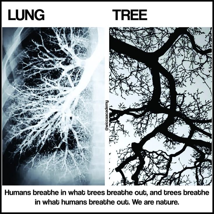 River networks, veins of a leaf.. 🍃
Micros &amp; macros all throughout nature. ✨️
