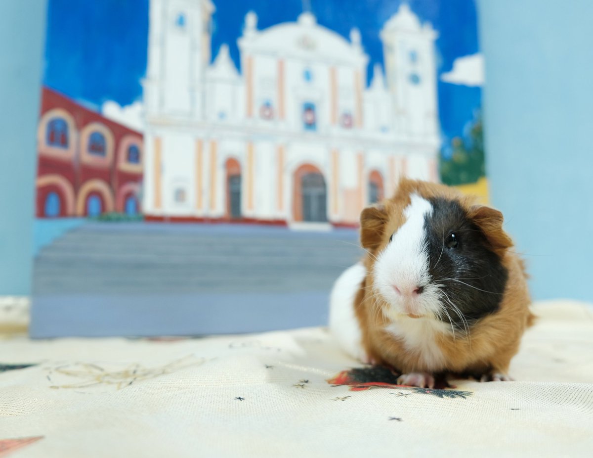 cuyiwaffles's tweet photo. ¡Fundación de Asunción! https://t.co/Kl4XJJ7zyR