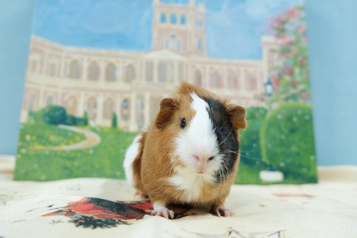 ¡Fundación de Asunción!