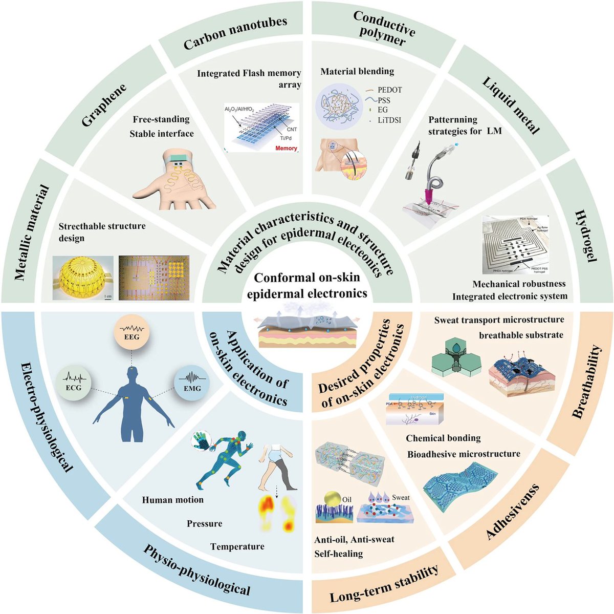 On-skin epidermal electronics, distinguished by their excellent conformability, breathability, and mechanoelectrical robustness, offer a promising solution for high-fidelity, long-term health monitoring. 

📚 Learn more in this new review: bit.ly/4mi54xx