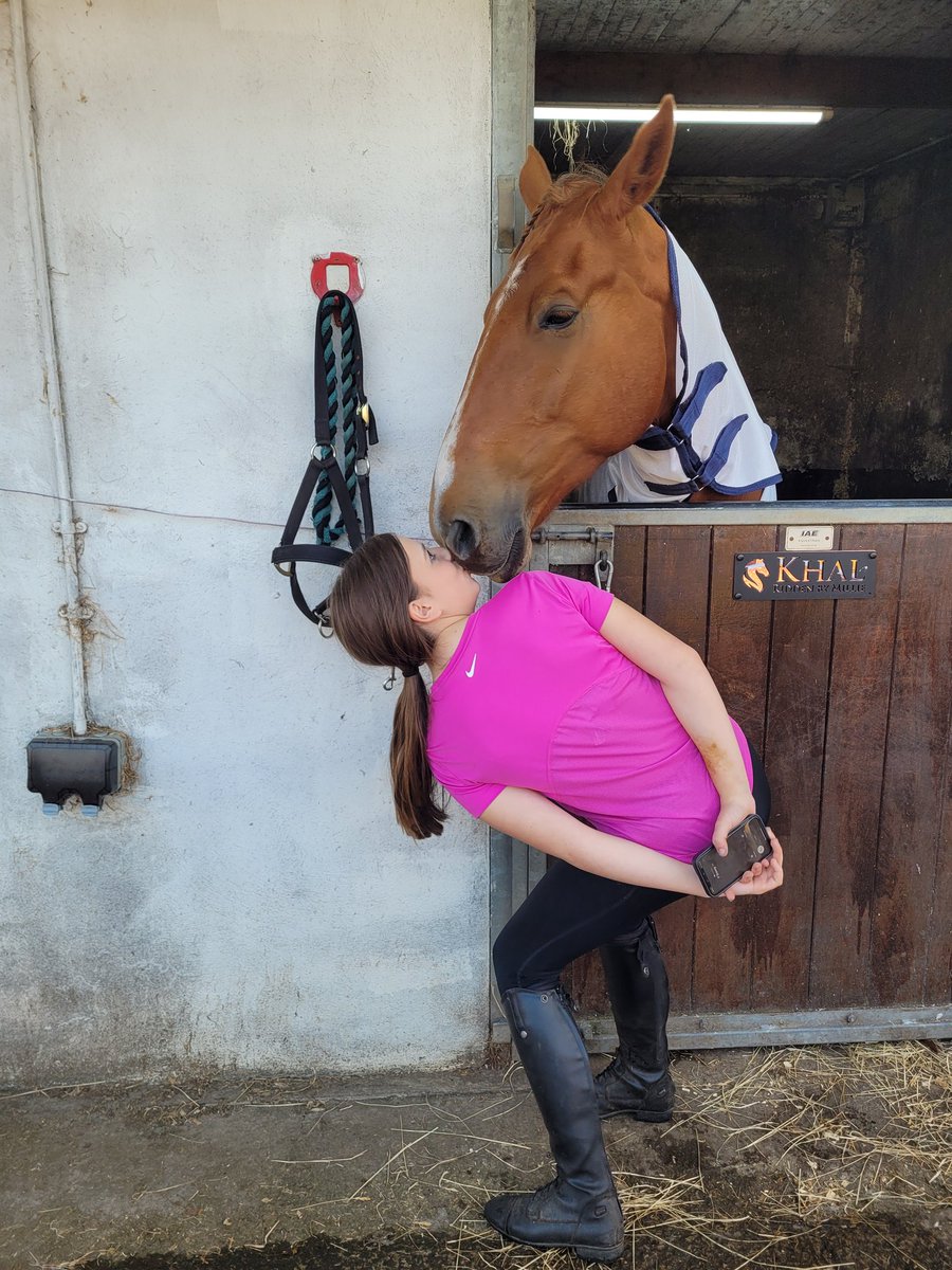 hazel_irving's tweet photo. This Friday is a bit different from last week! The big furbaby will be going to his first show tomorrow! Today he showered and had his hair part done. Love this big guy. Heres hoping he is on his bestest behaviour x https://t.co/BwOm9oIeuv