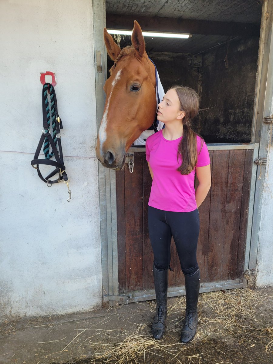 hazel_irving's tweet photo. This Friday is a bit different from last week! The big furbaby will be going to his first show tomorrow! Today he showered and had his hair part done. Love this big guy. Heres hoping he is on his bestest behaviour x https://t.co/BwOm9oIeuv