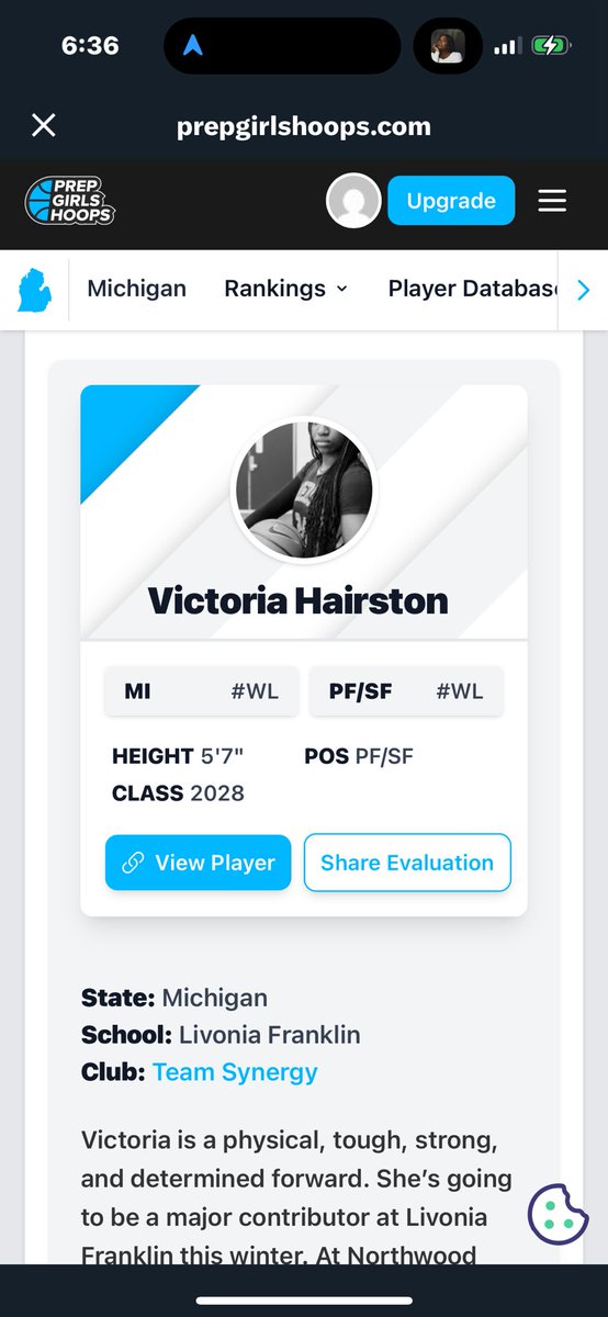 Team Synergy tweet media