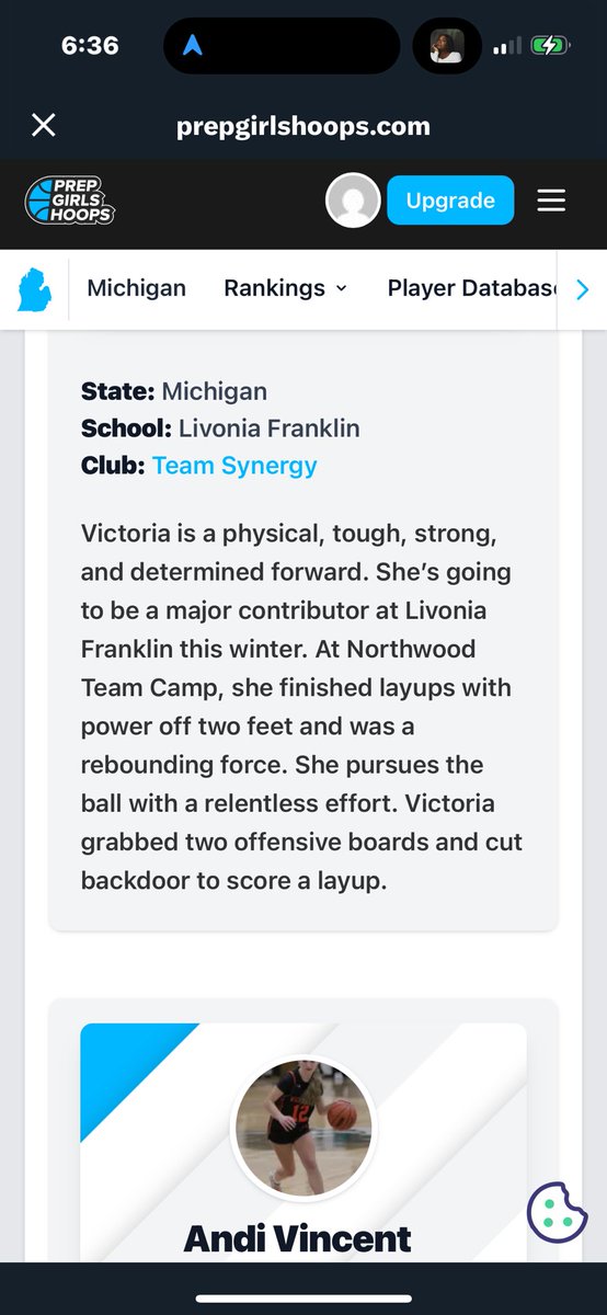 Team Synergy tweet media