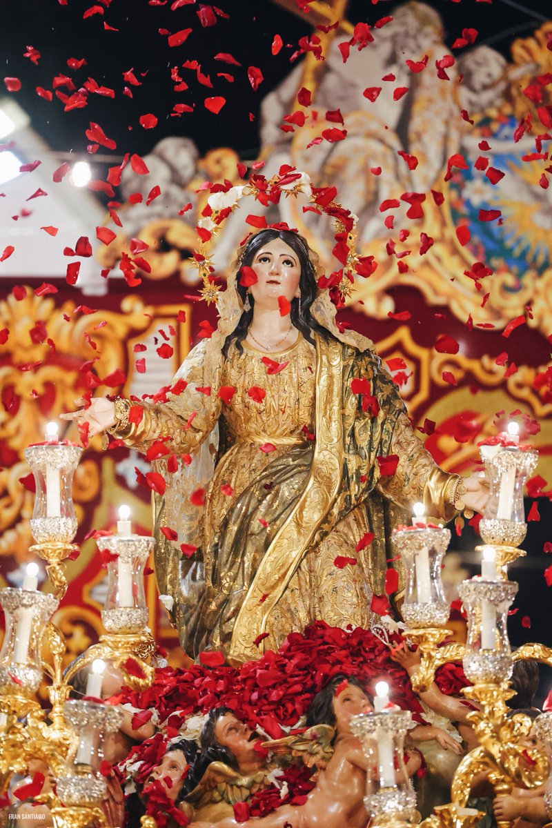 fransantiph's tweet photo. ¡Pétalos para la Virgen de la Asunción! https://t.co/3Uq7XrWdRV