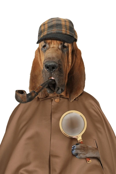 haleskarma's tweet photo. I think Otev will be a dog and the type of dog will probably be a bloodhound to fit the mystery theme #BB27 https://t.co/33rqYEl5q4