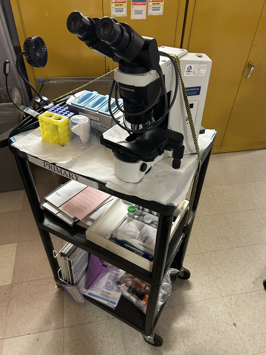 Thanks to a generous family, we will be upgrading our microscope used for rapid on site evaluations throughout the hospital to digital! Enhanced efficiency of diagnoses and an improved patient experience.