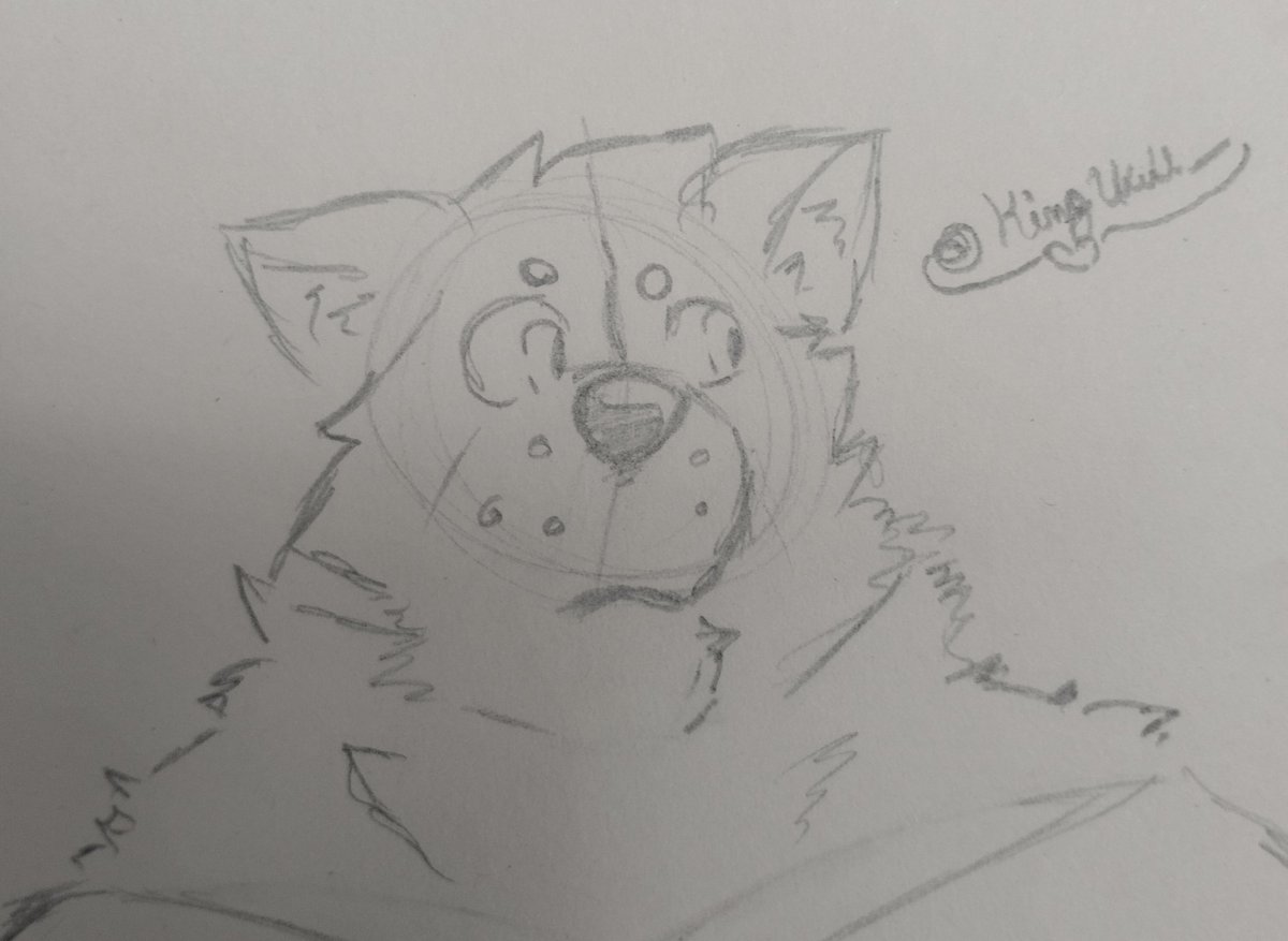 Torkivi!! ٩(ˊᗜˋ )و tweet media