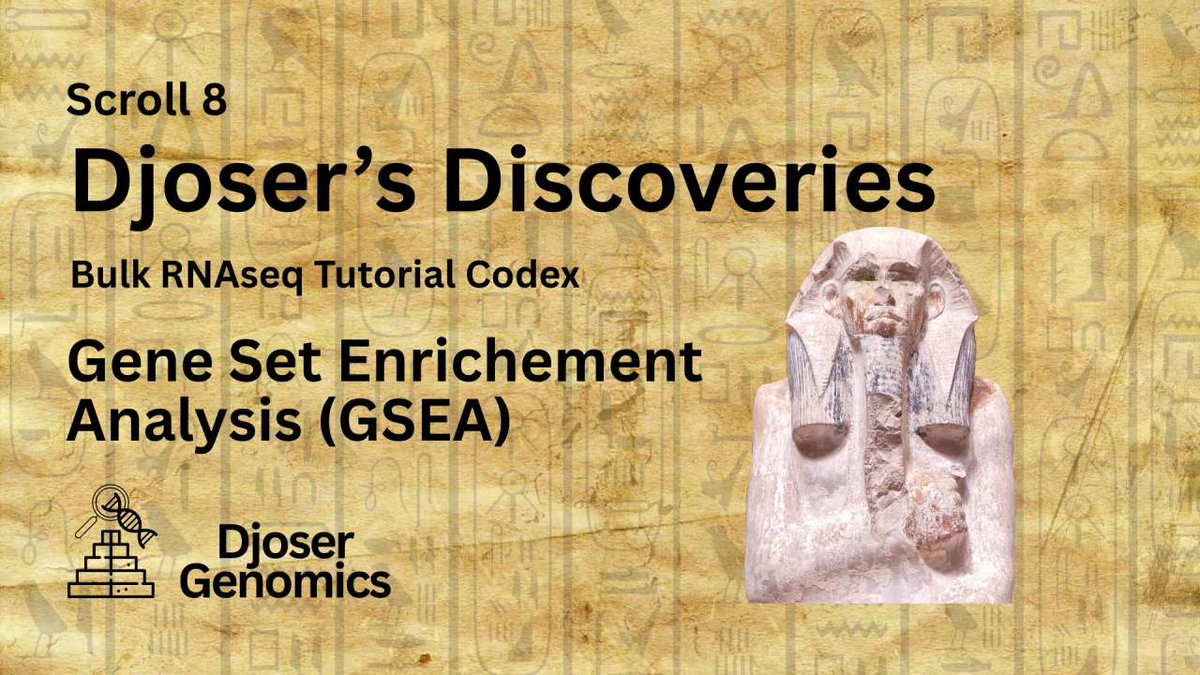 📜 Scroll VIII: Djoser's Discoveries!

The Grand Finale, we dive into Gene set Enrichment Analysis (GSEA), why we do it, how we do it and how to visualize and interpret it.

Check it out: djosergenomics.github.io/Scroll-8-Djose…

#bioinformatics #RNAseq #scicomm