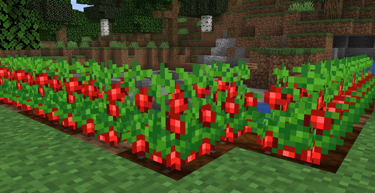 LuxerMH's tweet photo. @BobicraftMC Yo opinaria una farm update, ya hace falta otra oleada de alimentos nuevos a Minecraft, como tomates, maiz o hacer nuevas recetas de alimentos procesados como empanadas jsjdjdjs https://t.co/o8FHZn3mn5