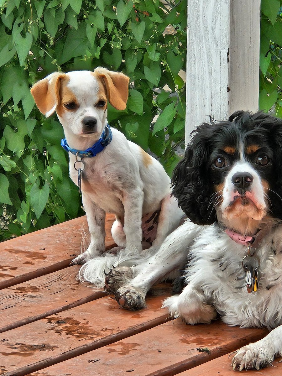 Time to post CUTENESS