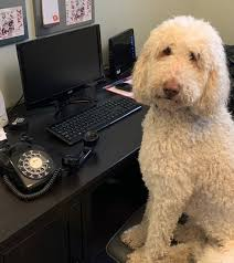 I was writing a joke about telephone calls, but it had no punchline...
So I put it on hold🤷‍♀️