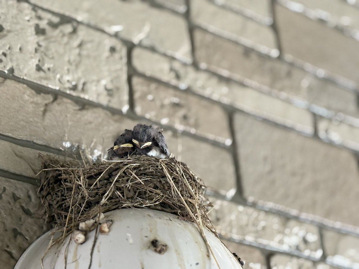 【　クリック募金　】
おはようございます
このサイトに
アクセスして
無料のボタンを
１日１回クリック
あなたに代わり
企業が寄附してくれるのです
クリック募金
いかがですか

dff.jp

災害　起きませんように
戦争　早く終わりますように

#クリック募金