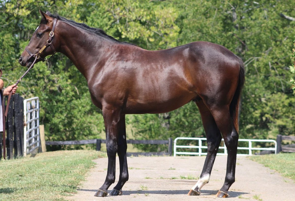 Rose Hill Farm tweet media