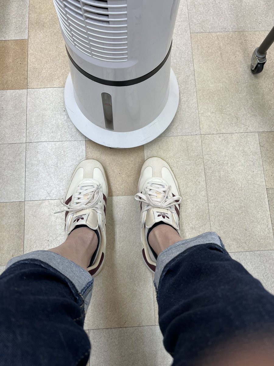 ko_101's tweet photo. 孫とのお出かけ用で、久しぶりにスニーカーを買いました。
3歳児が突然走り出すのを追いかけられるように足腰鍛えないとね(笑) https://t.co/JIJKNFi39t