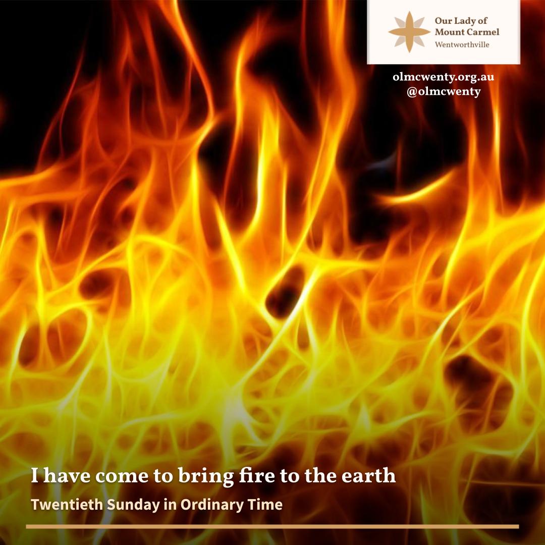In Australia, we see in our landscape how the destruction of fire is a catalyst for new life and growth. What situations of injustice, oppression and evil do I see in the world that call for me to be an agent of growth and new life #Sunday #Gospel