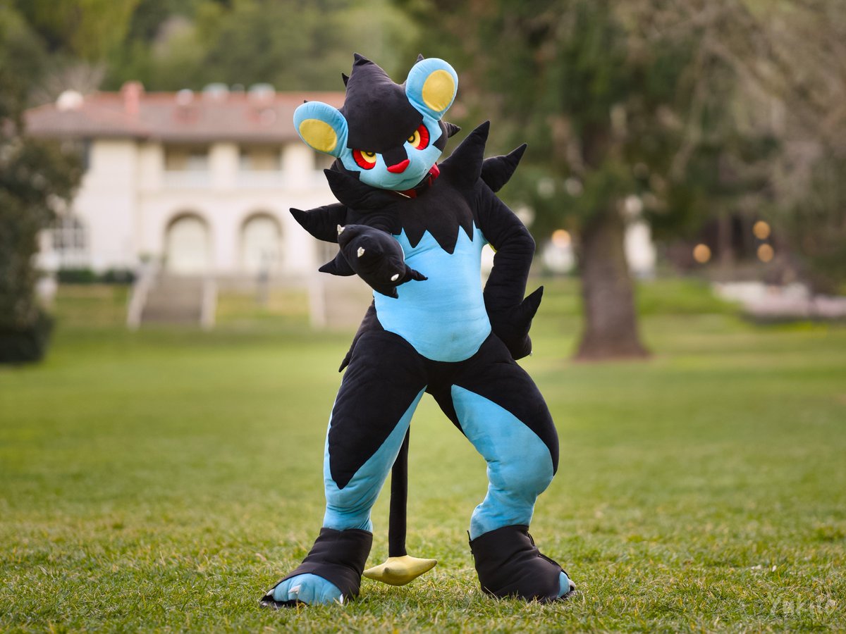 Buaya (@buaya255) on Twitter photo I'll be at the Pokémon Worlds on Saturday! Looking for the best trainer to compete with!! ⚡⚡
#FursuitFriday
📸: <a href="/YukitoTheFox/">❄️Yukito❄️</a> I'll be at the Pokémon Worlds on Saturday! Looking for the best trainer to compete with!! ⚡⚡
#FursuitFriday
📸: <a href="/YukitoTheFox/">❄️Yukito❄️</a>