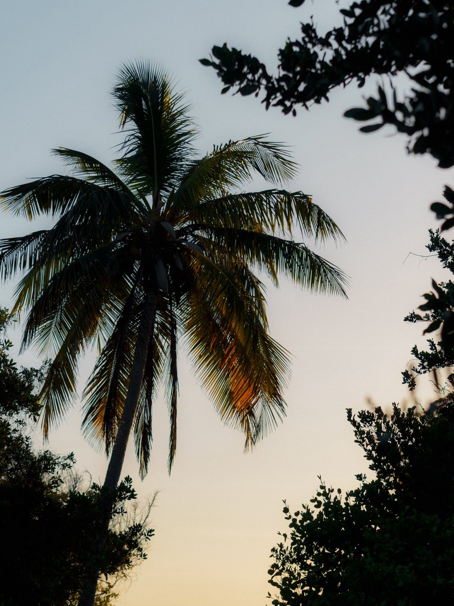 𝐏𝐚𝐛𝐥𝐨 𝐌 tweet media