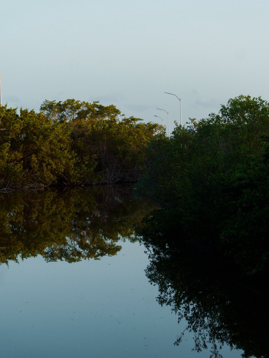 𝐏𝐚𝐛𝐥𝐨 𝐌 tweet media