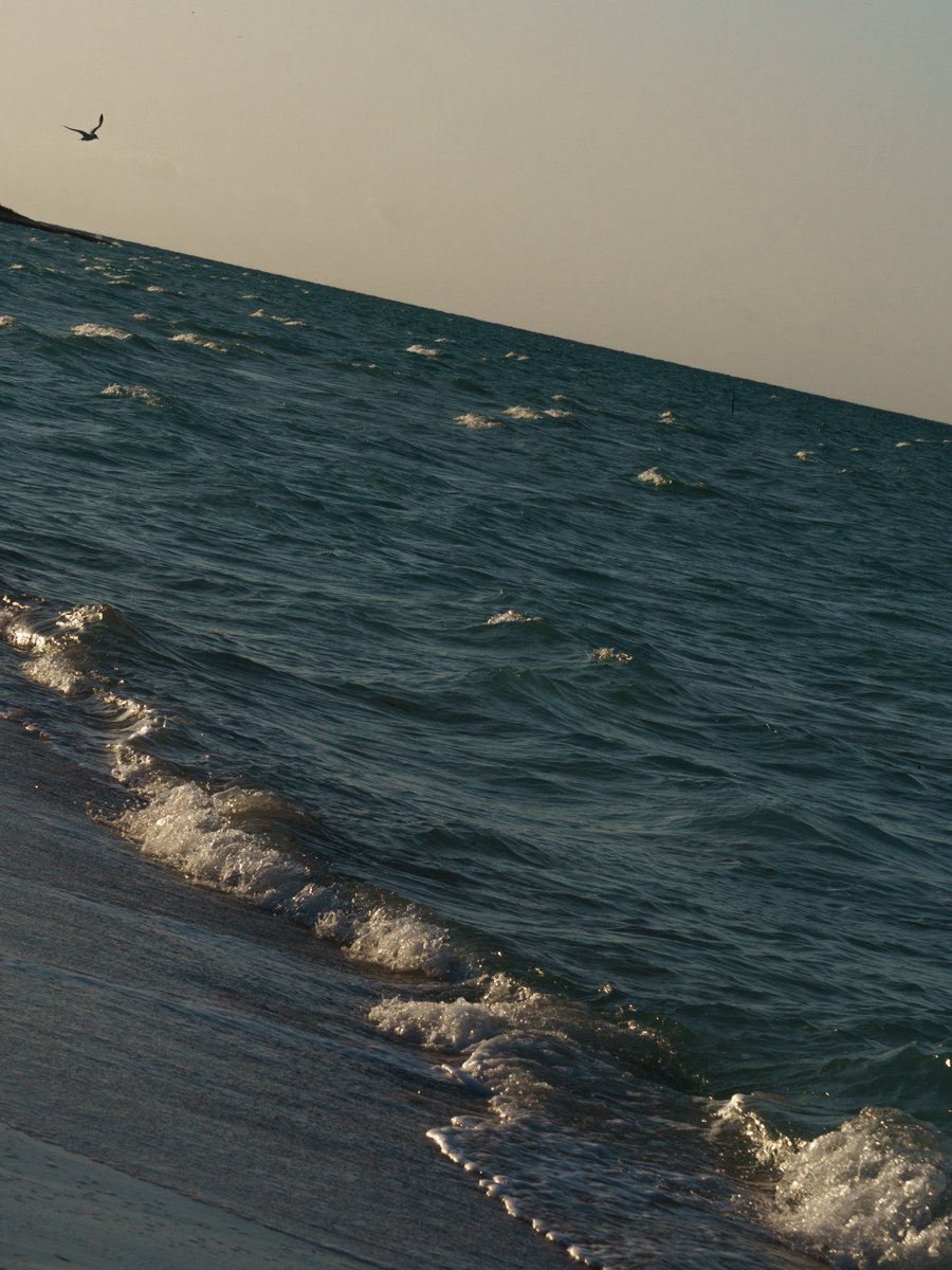 𝐏𝐚𝐛𝐥𝐨 𝐌 tweet media