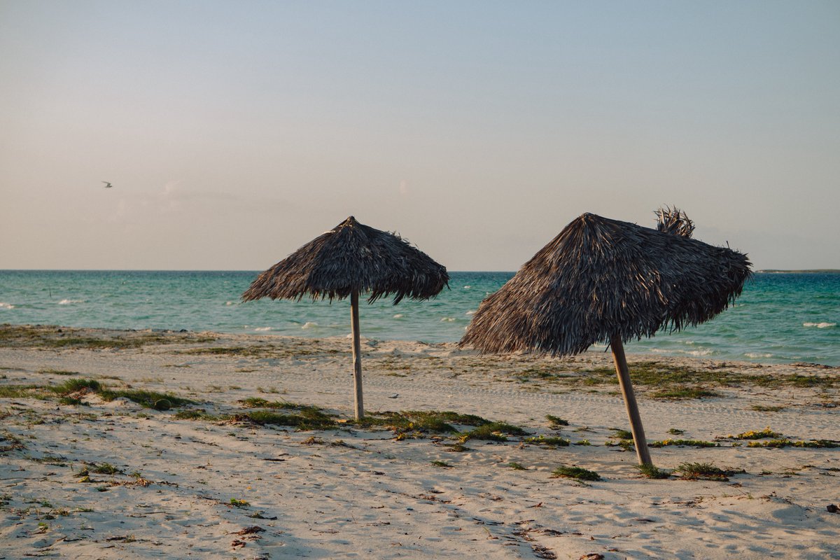 𝐏𝐚𝐛𝐥𝐨 𝐌 tweet media