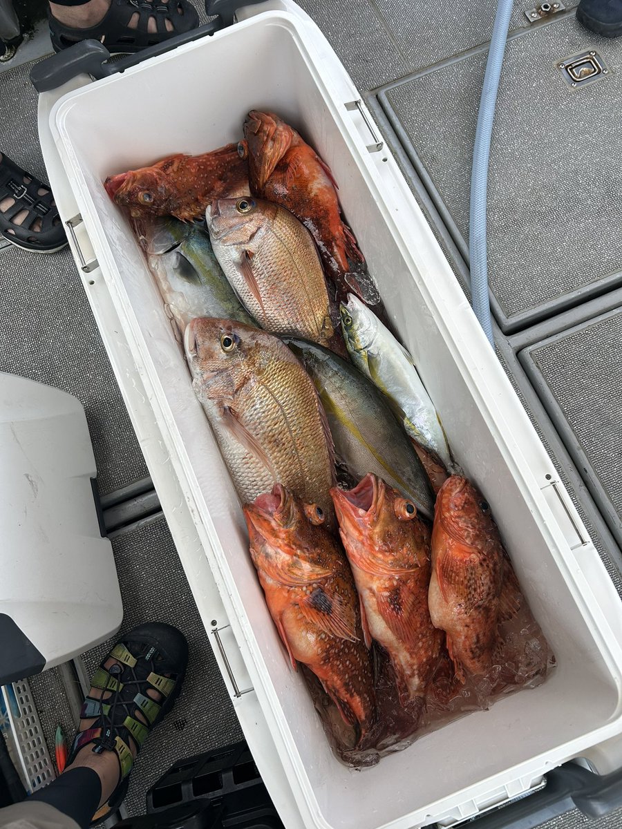 そーた tweet media