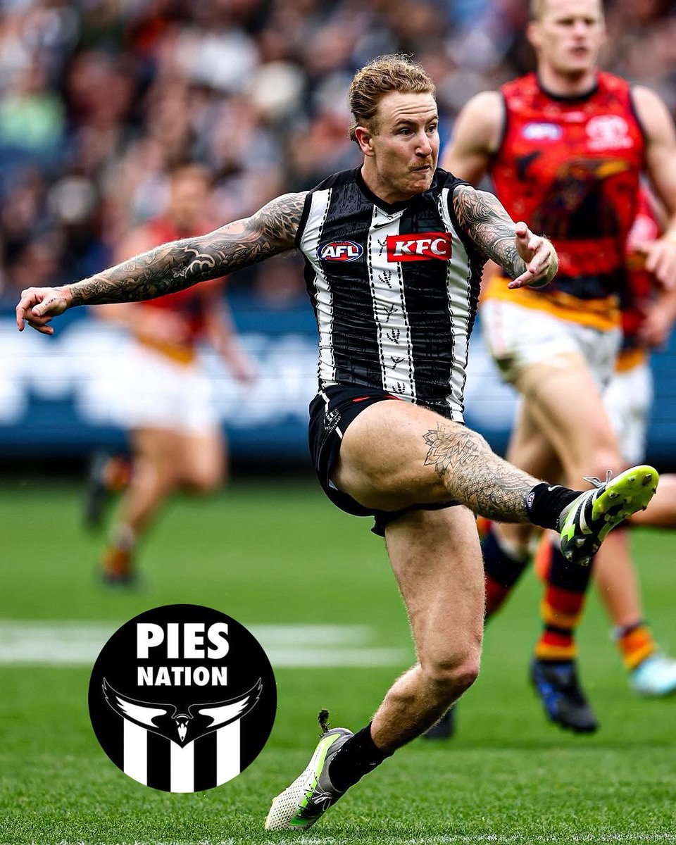 PiesNation tweet media