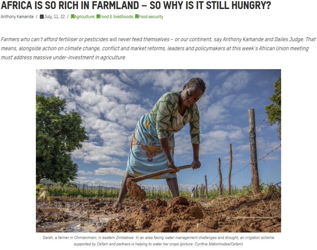 StocksForMoney's tweet photo. Africa has 24% of the world’s arable land but is still a net food importer

EasyFEN™ $DUTV produces Terreplenish®, an organic fertilizer made from local waste, supporting soil health &amp; farmer-led, regenerative solutions

https://t.co/NLYZtFqzSC

#SoilHealth #Nasdaq #Stockmarket https://t.co/vwgs4fb5hG