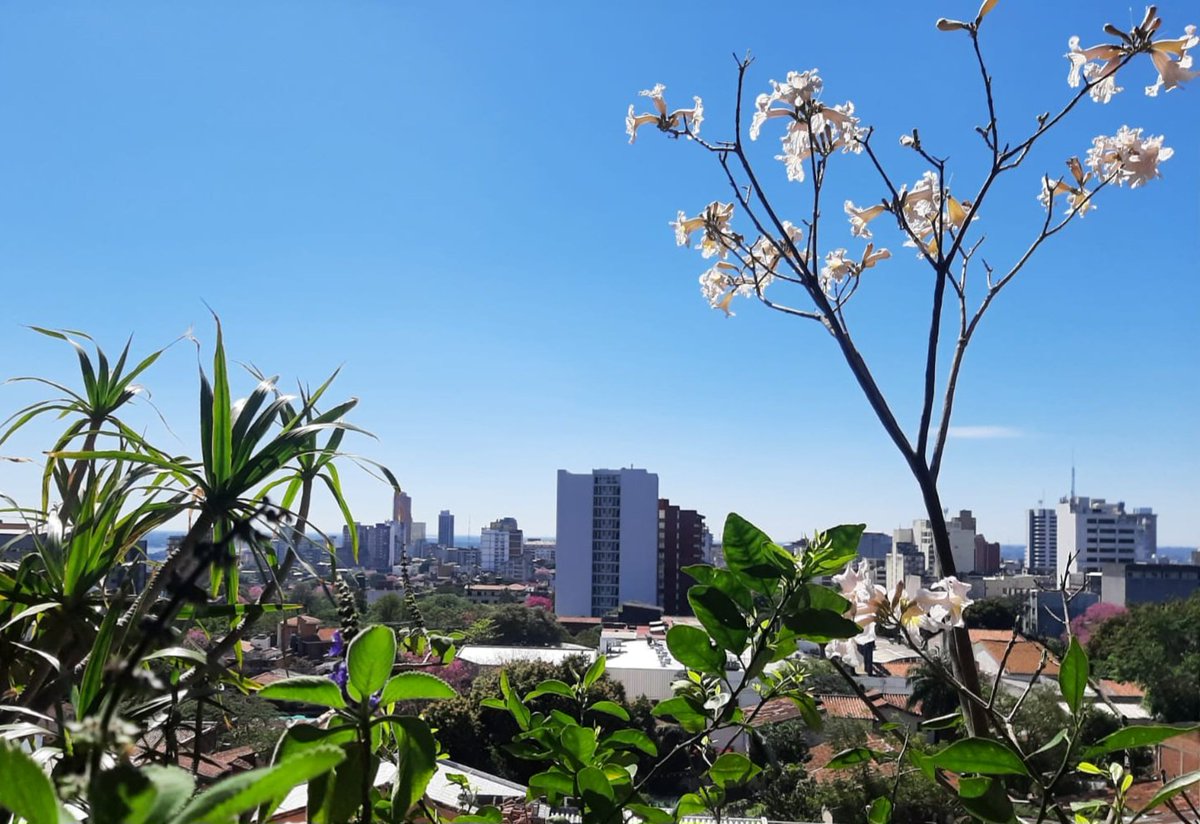 Asunción vestida de flores es tan linda. Pese a los inútiles y delincuentes que hacen lo imposible por destrozarla, sigue siendo querible. ¡A recuperarla!
