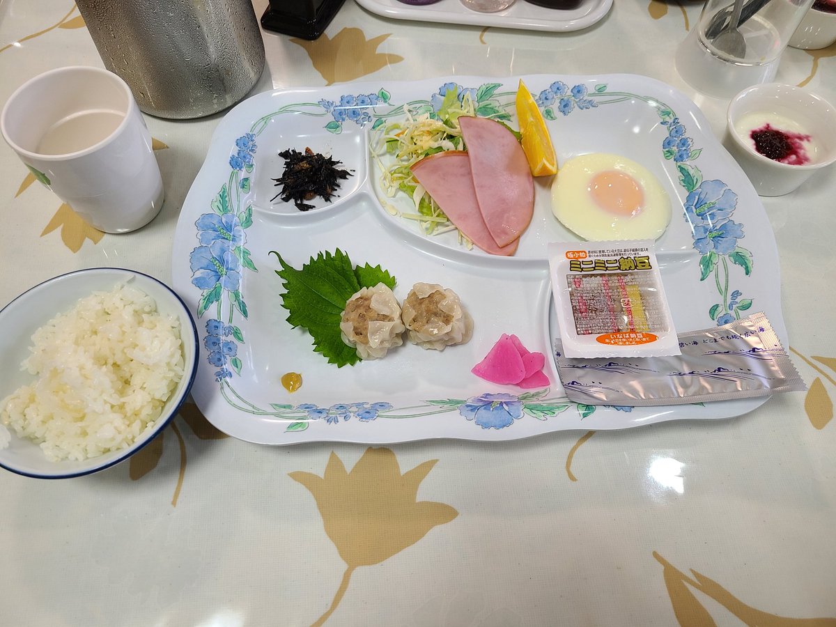 MarineBlueTS's tweet photo. 朝御飯、いただいてます☺️
朝からみんな元気が沸いてきたみたい✨ https://t.co/kIjPZkiooT