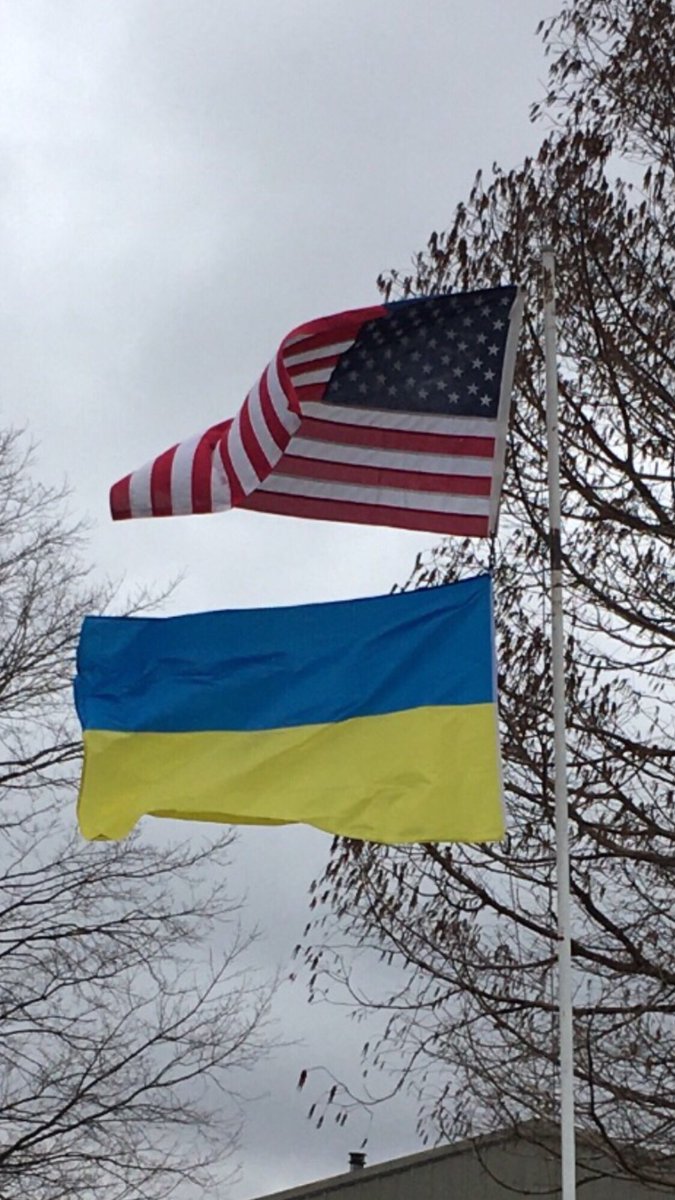 Barbara Adams tweet media