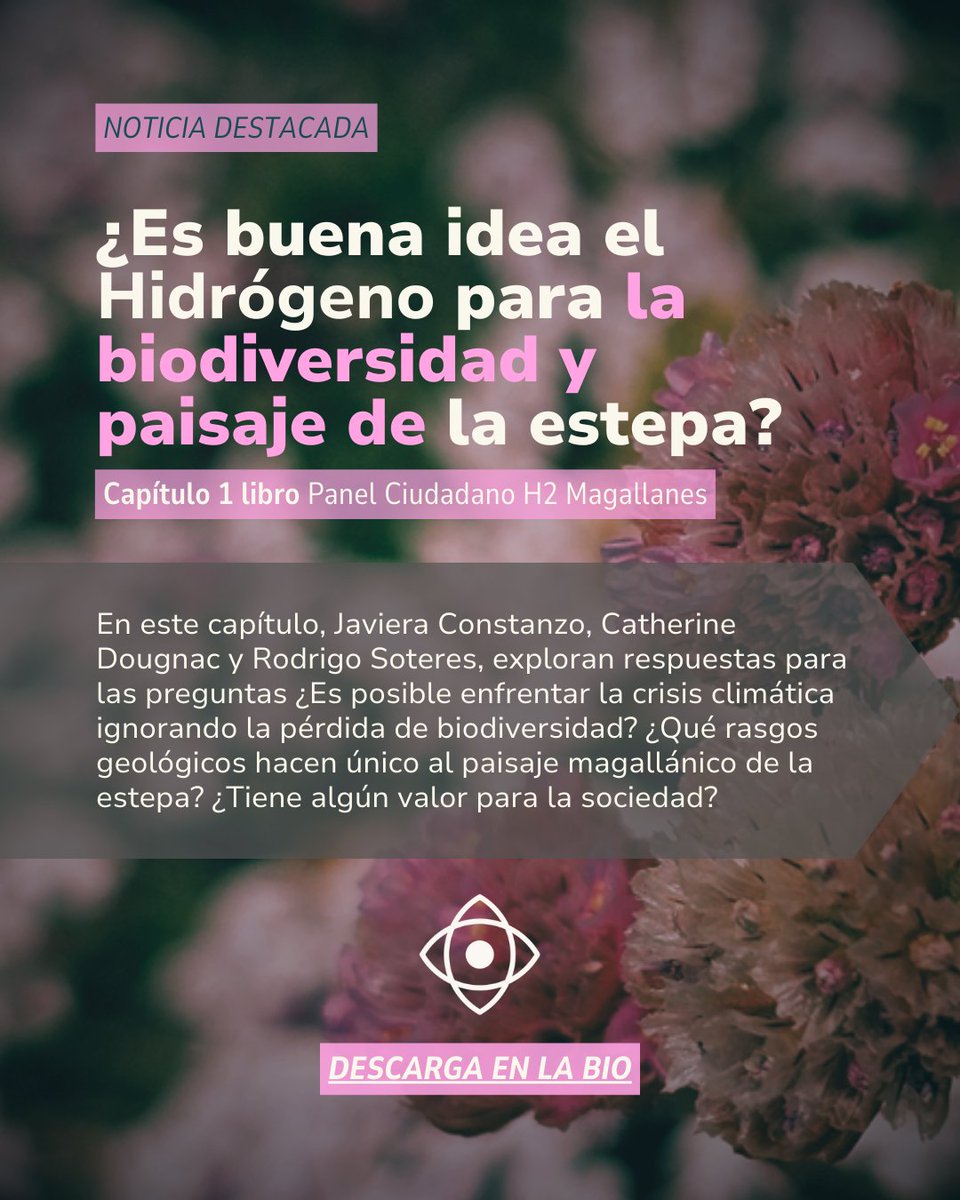 ¿Es buena idea el H2 para la estepa magallánica? En el capítulo 1 de nuestro libro, se describe a la Estepa Patagónica como un espacio estratégico y frágil, que ya contribuye activamente a mitigar la crisis climática, ¡capturando más carbono del que emite! Descarga en el blog.