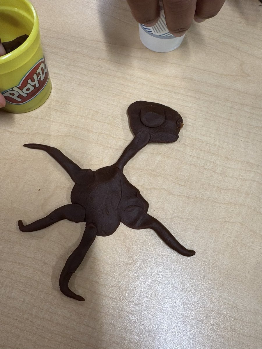 Just a few highlights from our first three days in PreK.