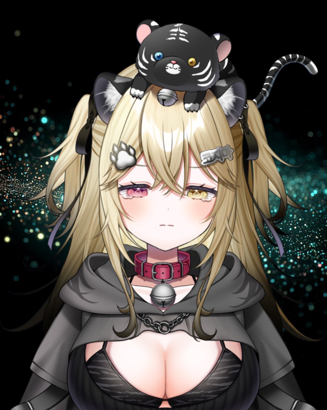虎島めら。🐾🩶Vlash所属2.5V on X: 