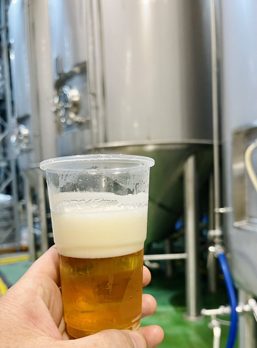 Bilcro's tweet photo. #FreshBeerFriday began with a 3.8% โLilโ Banginโ session IPA from @ryeriverbrewing. First from the tank & then from the bottle. Tangy bitter citrus & pine.๐
Slรกinte!๐ป
@FiShoop @cb_phil @antrim_man @pcr123 @Sav70 @craftbeersoflre @mjpm67 @keefmullin @Imagicranium @PaulOBrien10 https://t.co/8Lx24MybEt