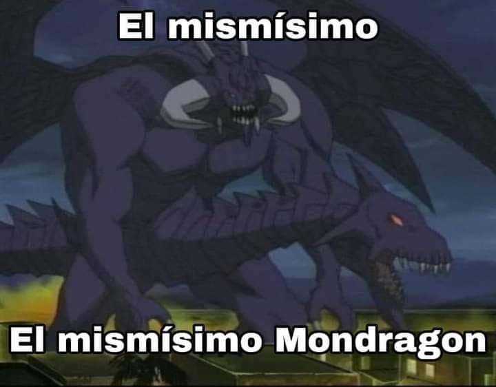 forerolas's tweet image. 