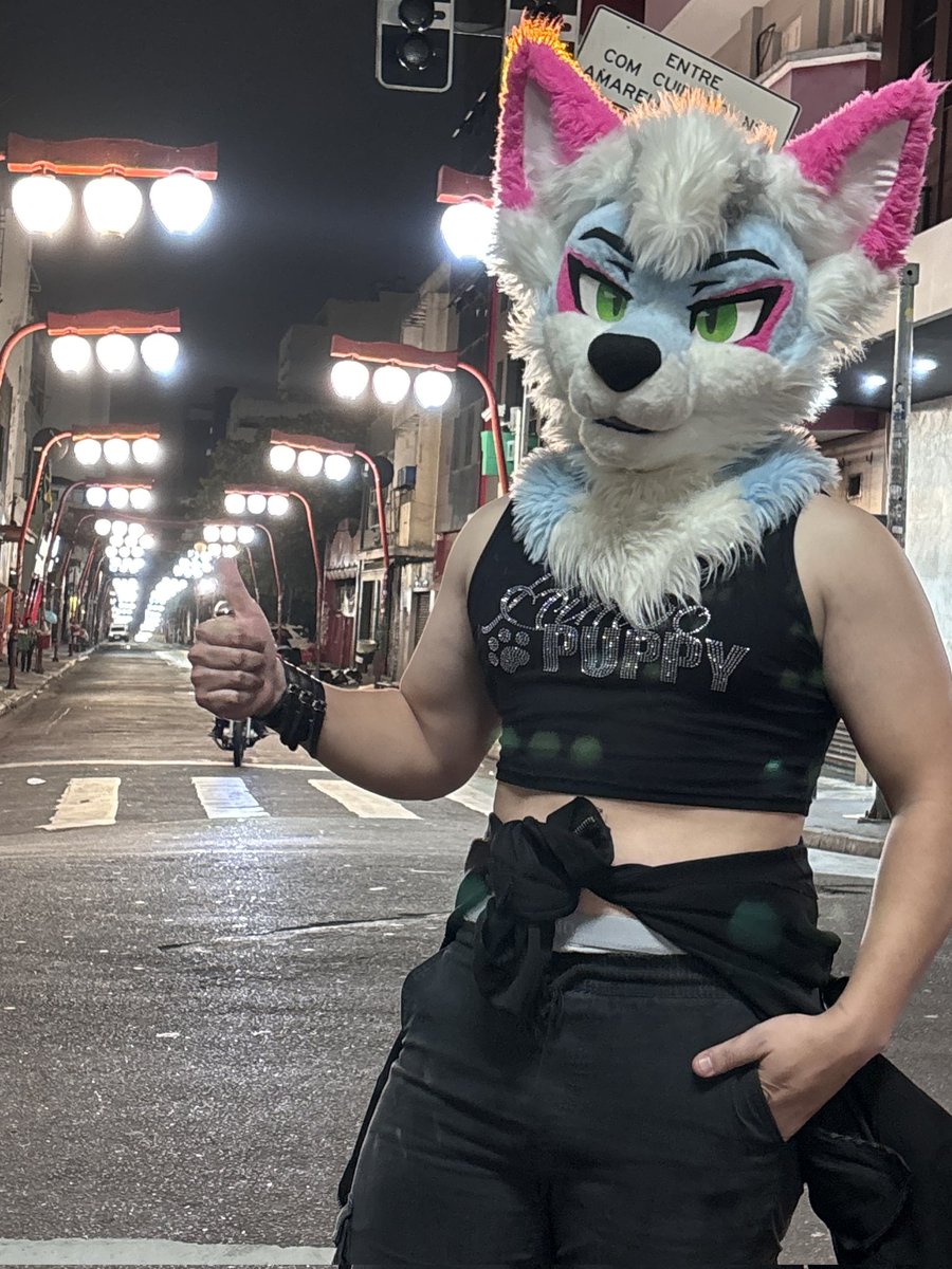 first time wearing cropped tops in my life! (And of Course i wore The <a href="/auroraabloom/">☀️ Aurora ☀️</a> 's Himbo Puppy one for This ocasion!)
🔥
Meeting my gym inspirations was a game-changer, feeling unstoppable now!
📷@paciulo
.
.
#furry #furryfandom #furrycommunity #fursuiting #fursuit #fursuiter