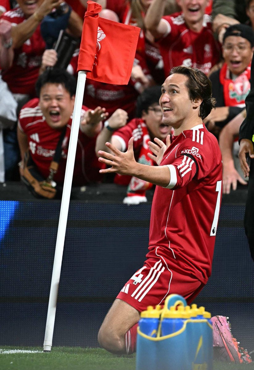 Just look at his face