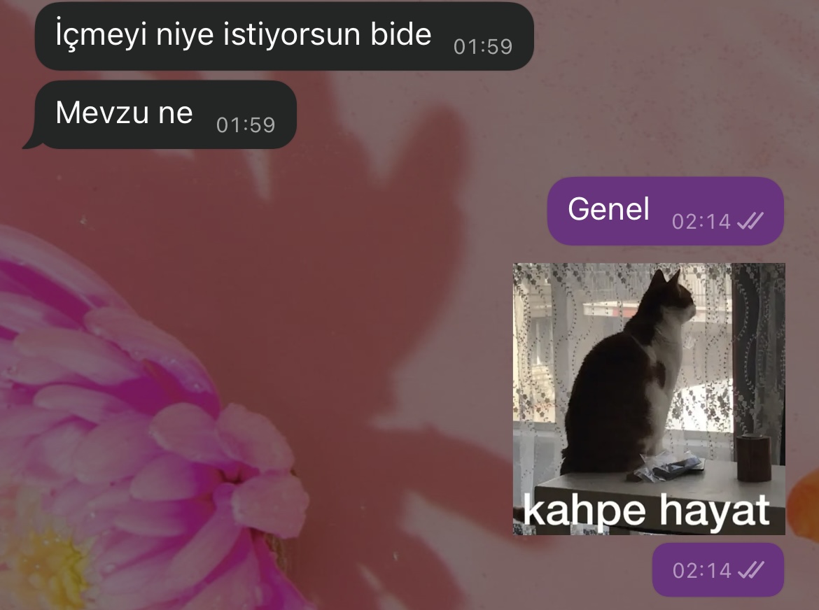 Gülbin tiça (@rosethousandd) on Twitter photo 