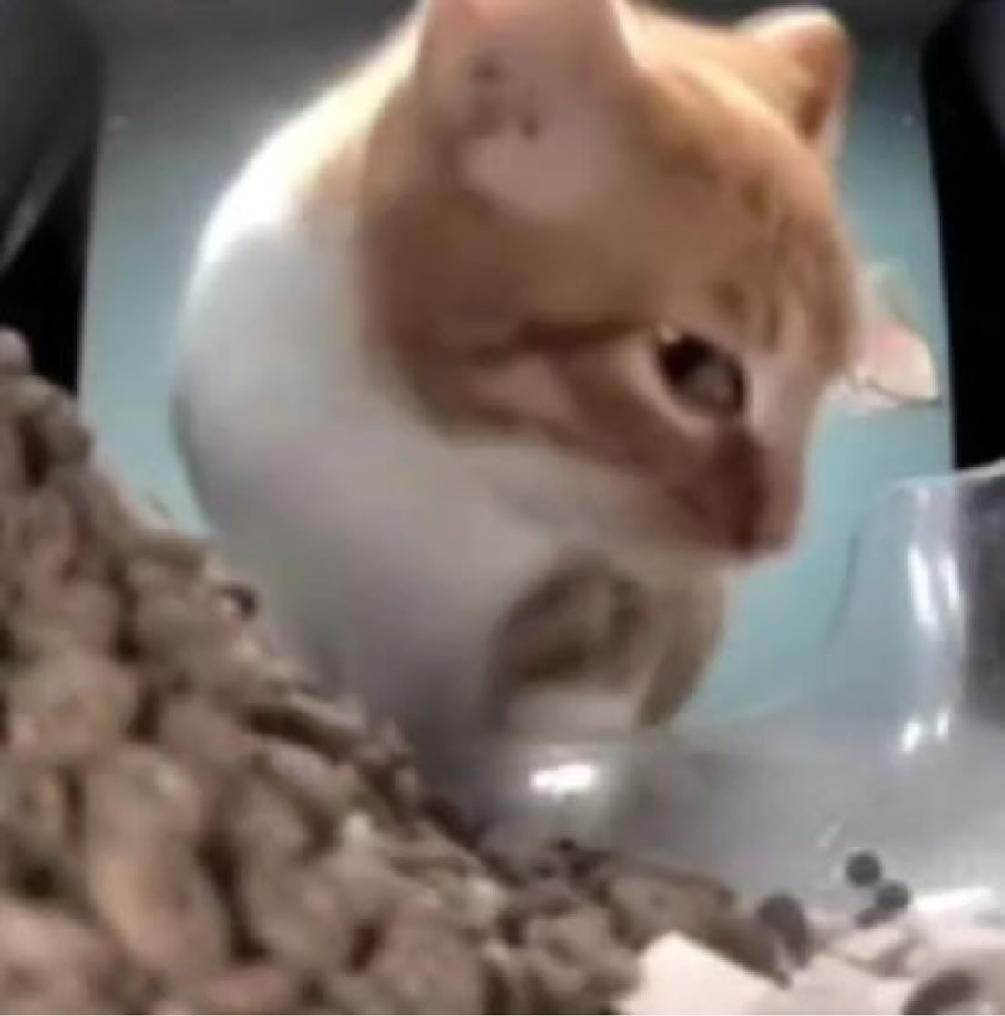 that panadol night is calling my name ......