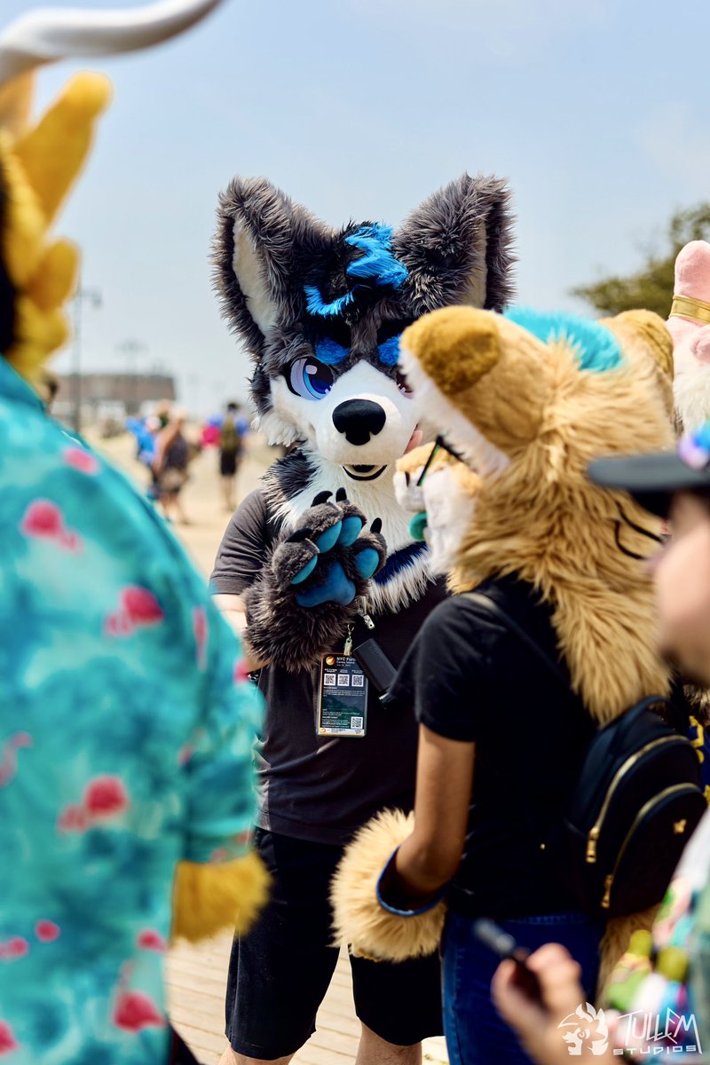 waow some more coney island pics for #FursuitFriday! these ones by <a href="/tullembrat/">Tullem🔜FD, MP, AFC</a>