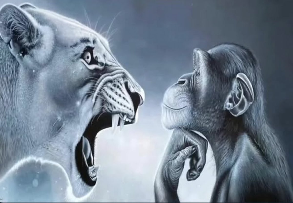 ??? ( 𝚊𝚖𝚗𝚎𝚜𝚒𝚊 𝚎𝚟𝚎𝚗𝚝 ) tweet media