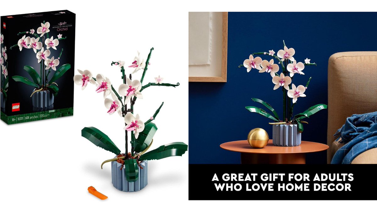 jenns970's tweet image. LEGO Botanicals Orchid - Artificial, Fake Indoor Flowers Building Set for Home, Kitchen, Desk Decoration, Adults Ages 18+ - Gift for Birthdays - 10311 #affiliate #ad amzn.to/4lrfhGL