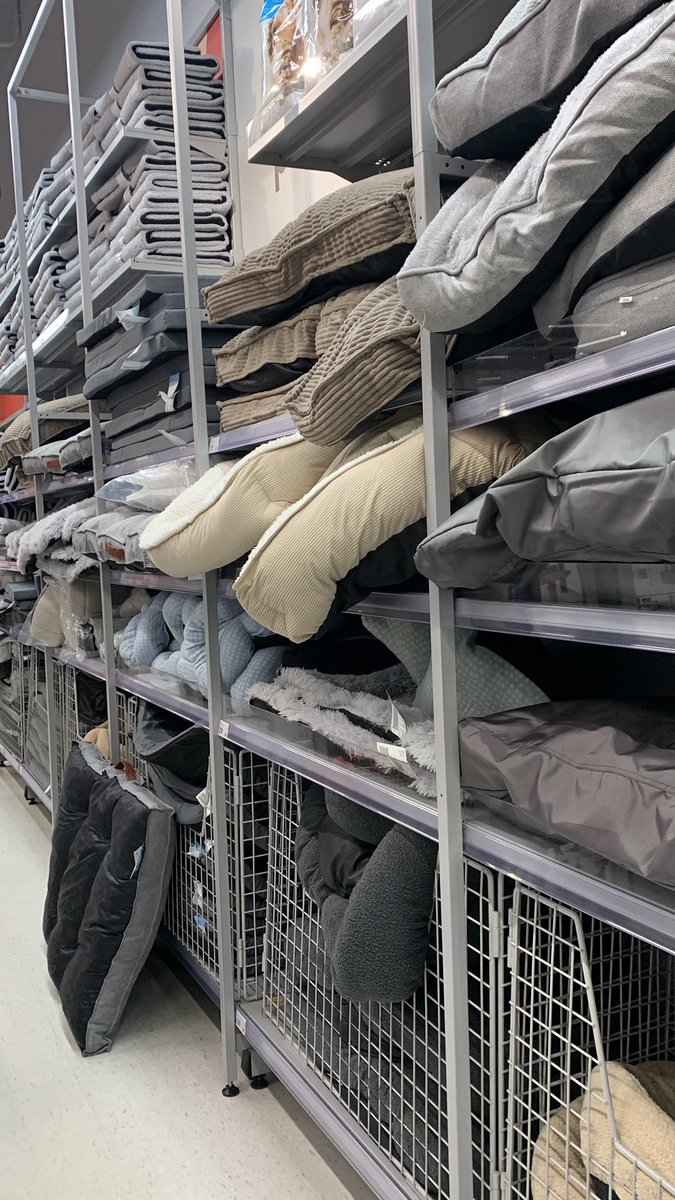 SHOPPING FOR SOMETING MY SQUIRE CAN SLEEP ON