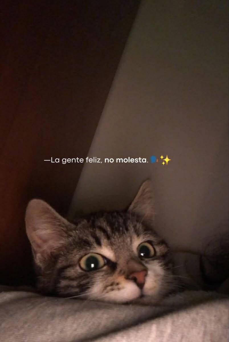 BANDIDOS (@bandidosfrasess) on Twitter photo 