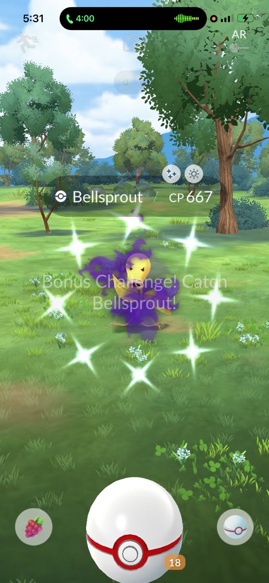 ZOOTEDZACH96's tweet image. Sorry I’m late to the party 😅 bro shines in 1 raid but not after 500 decoys but hey he’s here😆🤣 #shinyshadow #bellsprout