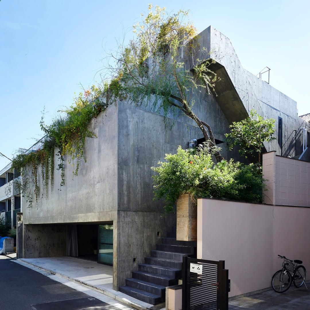 A Concrete Sanctuary in Tokyo 🌿