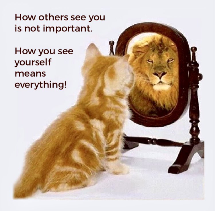 Brian Harstad (@hardyinsconny) on Twitter photo 