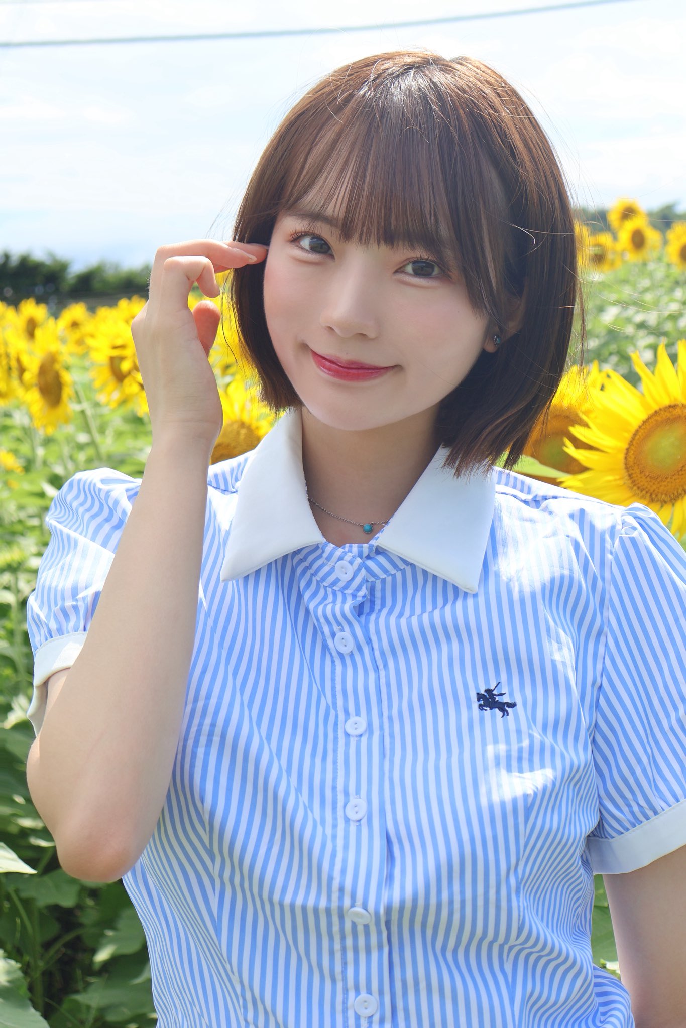 みっちゃん on X: 