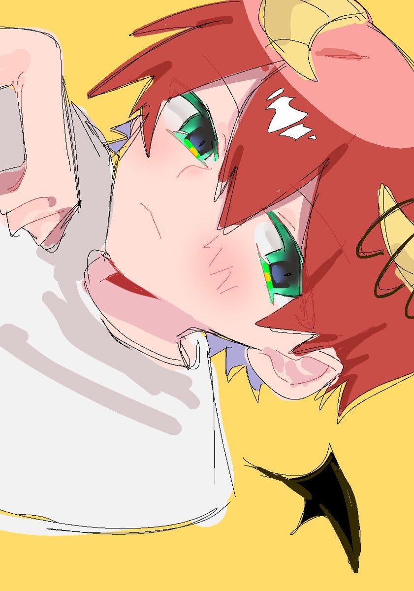 おかか tweet media